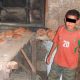 Travail Enfants Maroc 2014 06 16