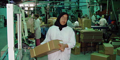 Usine carton 2011 06 21