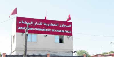 abattoires casablanca 2014 09 18