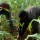 afrique 2014 02 28