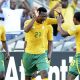 afrique du sud can 2013 2013 01 23