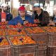 agricole 2014 03 14