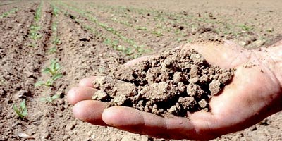 agricole maroc 2014 12 03