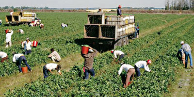agriculteurs maroc 2015 04 07