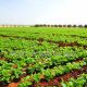agriculture 2015 09 29