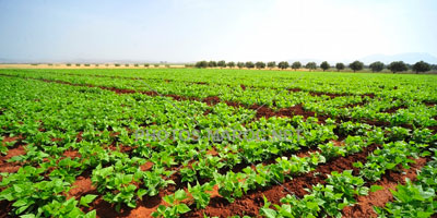 agriculture 2015 09 29