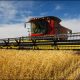 agroalimentaire 2014 12 10