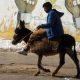 ane maroc 2012 04 17