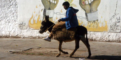 ane maroc 2012 04 17
