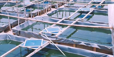aquaculture 2012 03 26