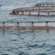 aquaculture Maroc 2012 10 25
