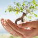assurance vie en 2014