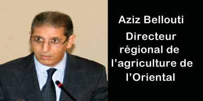 aziz 2014 08 15