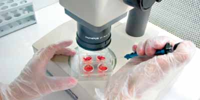 biotechnologie 2014 10 23