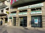 cam maroc vert