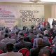 cooperation sud sud agricole afrique 2014 12 19