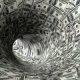 dollars 2012 08 03