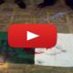 drapeau algerien brule 2014 07 02