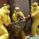 ebola 2014 12 30