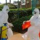 ebola maroc 2014 11 04
