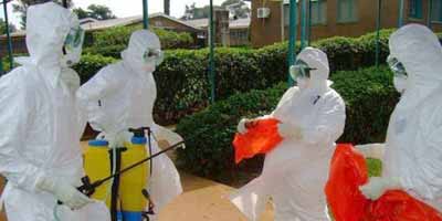 ebola maroc 2014 11 04