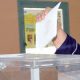 elections