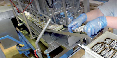 unité de conserve de poissons