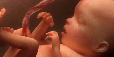 foetus inde 2014 08 26
