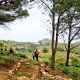 forets Maroc 2014 01 03