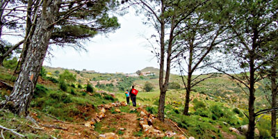forets Maroc 2014 01 03