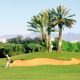 golfs 25 parcours 1 000 ha de green et des recettes dun milliard de dh par an