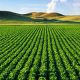 hydro agricoles