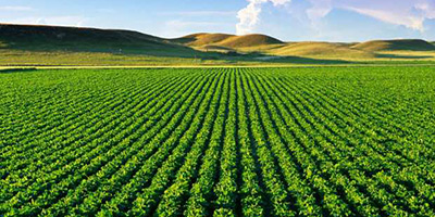 hydro agricoles