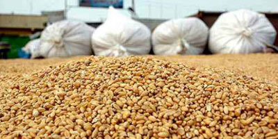 importation du ble maroc 2012 09 13
