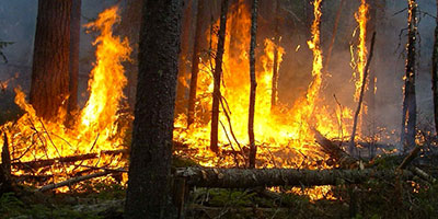 incendie 2015 06 19