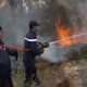 incendie foret maroc 2012 08 14
