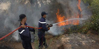 incendie foret maroc 2012 08 14