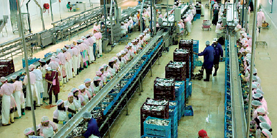 L'industrie agroalimentaire mise sur l'Afrique  Lavieeco