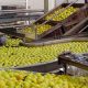 industries agroalimentaires2 2015 09 03