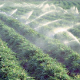 Irrigation