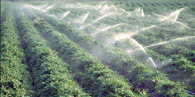 Irrigation