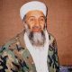 journaliste sur la mort de Ben Laden 2015 05 12