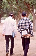 les jeunes prafa c2 a8rent le salariat