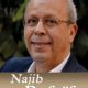 najib refaif 2012 04 25
