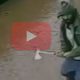new york hache 2014 10 24