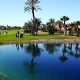palmeraie golf 2014 11 28