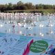 parc ornithologique fes 2013 03 01