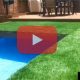 piscine Gazon 2014 06 16