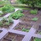 plantes aromatiques 2015 04 03