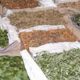 plantes aromatiques medicinales 2013 10 15